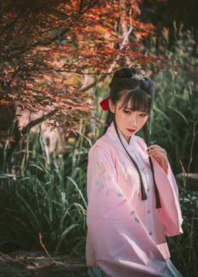 十二生肖传奇
