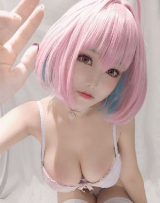 文豪野犬第二季